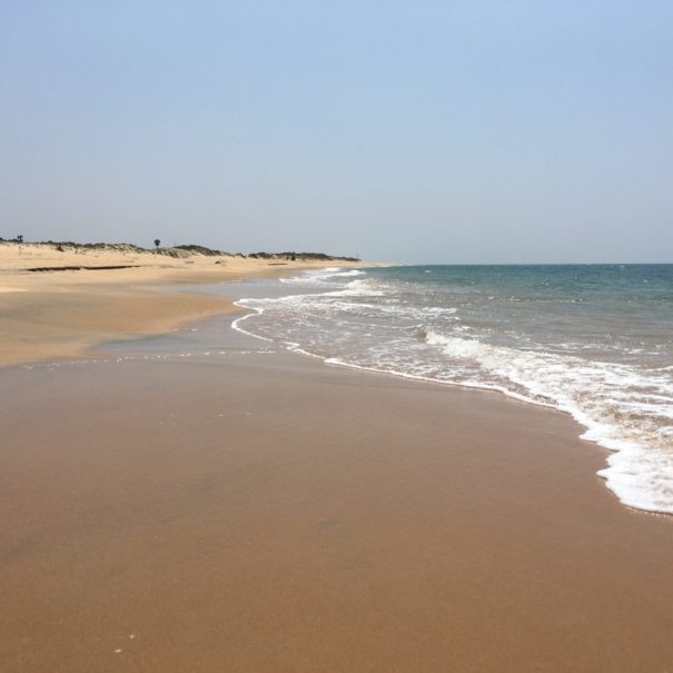 Wild beach around Dune Towers