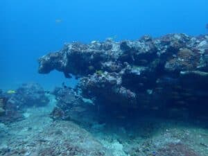 scuba diving Kalpitiya