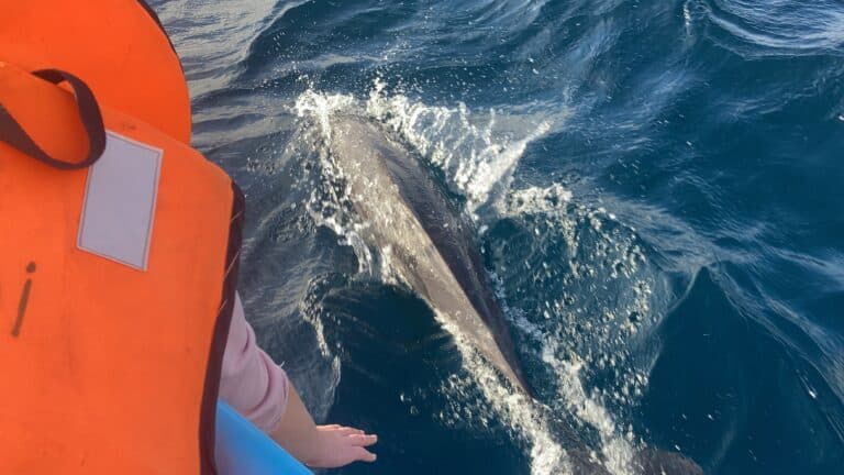 Sri Lanka Rafting, canyoning and waterfall, Kitulgala