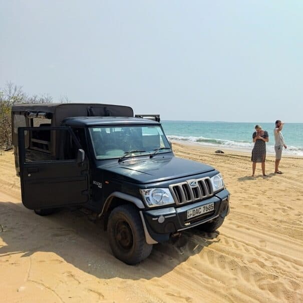 Kalpitiya Sri Lanka Safari