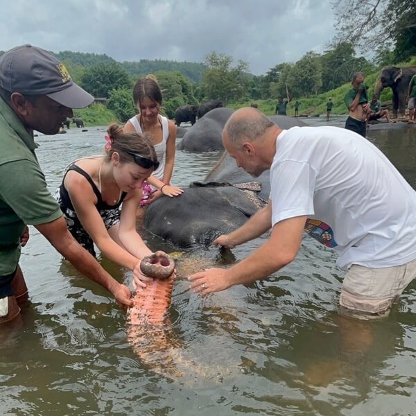 Elephant Sri Lanka trip