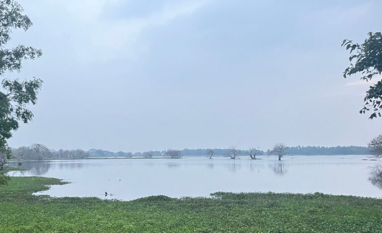 Anawilundawa Bird Sanctuary